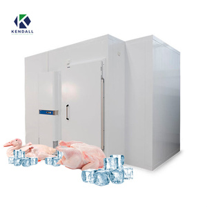 Cámaras <span class=keywords><strong>de</strong></span> congelación Cámara <span class=keywords><strong>de</strong></span> congelación Froide Congelador Compresor Habitaciones Refrigerador Contenedores para carne - Product Image 6