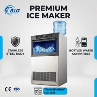 Machine à glaçons BLG Cube, nettoyage à une touche, faible consommation d'énergie, alimentation stable en glace, idéale pour les hôtels de villégiature et les restaurants de fruits de mer