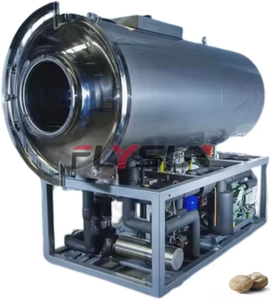 Machine de lyophilisation sous vide pour mangues, équipement de lyophilisation pour champignons, machine de séchage pour champignons, gain de temps - Product Image 1