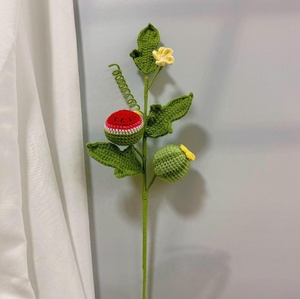 Bouquet di filato creativo all'uncinetto fatto a mano di frutta <span class=keywords><strong>e</strong></span> verdura, Durian, uva, Loquat, Yangtao, cachi, Mango, pesca, zucca - Product Image 5