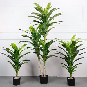 Plantas artificiales <span class=keywords><strong>de</strong></span> plástico <span class=keywords><strong>de</strong></span> hoja perenne <span class=keywords><strong>de</strong></span> interior con macetas <span class=keywords><strong>Árbol</strong></span>es artificiales Faux <span class=keywords><strong>Dracaena</strong></span> Fragrans - Product Image 4