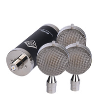Microphone à condensateur professionnel BV563, microphone de studio à large diaphragme avec capsule interchangeable pour l'enregistrement vocal