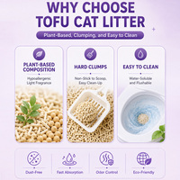Litière pour chat en tofu biodégradable et écologique, tendance, 2,5 kg, contrôle des odeurs, pour chats et animaleries