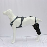 Genouillère pour chien pour housse de protection Support auxiliaire chirurgical en métal Attelle de genou réglable pour chien