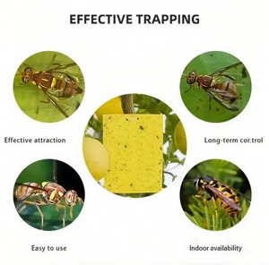 กับดักแมลงแบบเจลพลาสติกกันน้ำ เป็นมิตรกับสิ่งแวดล้อม กาวเหนียวพิเศษ สำหรับแมลงหวี่และแมลงทริปส์ ควบคุมศัตรูพืชอย่างเป็นธรรมชาติสำหรับสวน - Product Image 2