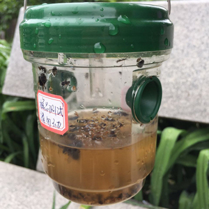 Trampa para Avispas Solar Duradera al por Mayor con LED, Atrapa Insectos Colgante para Negocios de Suministros de Jardín - Product Image 6