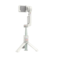 Mini trépied perche à selfie A10 avec lumière LED, support de téléphone extensible, stabilisateur de caméra vidéo intelligent pour prise de vue