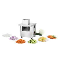 Nieuwe Chips Cutter Machine Multifunctionele Fruit Groente Snijmachine Dicer Rasp Voor Thuisrestaurant Gebruik Motor Kern