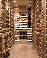 Élégante vitrine à vin extensible en acier inoxydable et bois massif, écologique, pour l'ameublement de la maison