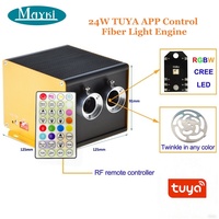 Source de lumière LED à fibre optique contrôlée par l'application TUYA, double port, moteur de lumière scintillante à fibre optique, éclairage de plafond à fibres optiques étoilées