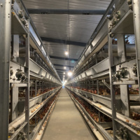 Système d'alimentation automatique pour la ponte des œufs Offre Spéciale batterie d'élevage volaille ferme couche oiseaux poule poulet Cage
