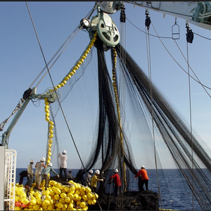 Yinqiu, las mejores ofertas, boya marina de bajo precio, flotador de espuma submarino EVA, flotabilidad de Color rojo, 7000G para monedero Seine usado - Product Image 4