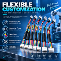 Connecteur personnalisé JST Molex 2.0 PH 2.0 2/3/4/5/6/7/8/9/10 broches, faisceau de câbles avec isolation PVC, assemblage de câbles électroniques