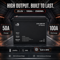 Batterie LiFePO4 LFP CFE-2560 SE 25,6V 100Ah avec BMS IP65, 3000 cycles, pour onduleur SolarEdge, systèmes solaires hors réseau