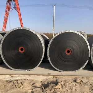 Dongfeng Endüstriyel Kumaş Konveyör Bandı Yerçekimi ve Taş Ocak Konveyör Sistemi için - Product Image 1