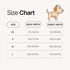 كلب بتصميم خاص امتصاص صدمات عالي الكثافة سهل الارتداء قابل للتحويل جميل للكلاب الكبيرة المتوسطة - Product Image 5