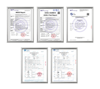 Baterai Lithium LiFePo4 48V 60V 72V 21Ah 30Ah 40Ah 50Ah IP65 untuk Sepeda Motor Listrik, Skuter, Becak, dan Sepeda