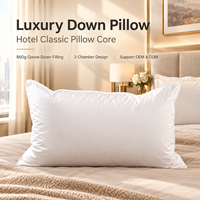Oreiller en duvet d'oie 860g, direct usine, moelleux et résistant, pour dormeurs sur le dos et sur le côté, conception à 3 compartiments, silencieux, anti-évasion de duvet, pour hôtel et maison, OEM ODM