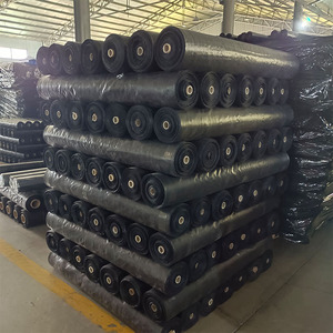 Cubierta de suelo agrícola Control de malezas Agricultura Plástico Apple Farm Ground <span class=keywords><strong>Cover</strong></span> - Product Image 4