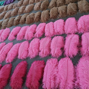 Eco-friendly di alta qualità promozionale del bambino <span class=keywords><strong>piume</strong></span> di struzzo crudo <span class=keywords><strong>in</strong></span> piuma colorati costumi di carnevale ali di <span class=keywords><strong>piume</strong></span> sexy - Product Image 1