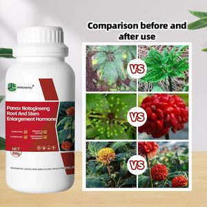 Panax <span class=keywords><strong>Notoginseng</strong></span> Rhizome Agent de charge racine épaisse et forte avec un taux d'absorption élevé résistant à la pourriture des racines Rayons UV Type de compost - Product Image 3
