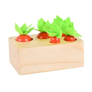 Jouets de tri de carotte en bois formes de jeu de couleur adaptés aux jeunes enfants pour se lever tôt pour apprendre cadeaux préscolaires