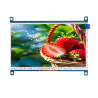 Custom10.1inch/7-Inch 1024*600 IPS TFT-LCD ahududu PI yüksek çözünürlüklü LCM paneli için HD-M ile dokunmatik ekran