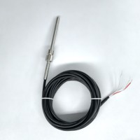 Industrial PT100 PT1000 Fixed Thread Platinum Thermometer Black PVC Cable Certified Quality RTD Economical Solution