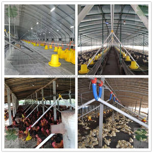 ダックグースパン給餌PVCパイプ給餌ライン飲用自動装置 - Product Image 2