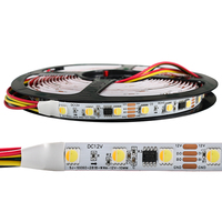 DC12V 10mm largeur WS2818 5050 WWA Bandes flexibles LED numériques