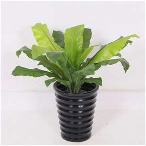 Großhandel Indoor Orchidee Rose Dekor Bulk ODM/OEM Künstliche <span class=keywords><strong>Petunia</strong></span> Weiße Blumen Große grüne künstliche Bäume für den Werbe gebrauch - Product Image 1