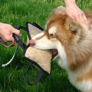 Traje de mordedura de perro profesional y juguete para tirar-Mangas de yute resistentes para entrenamiento de perros de trabajo, almohada de mordedura de relleno alto para perros K y 9/policía - Product Image 5
