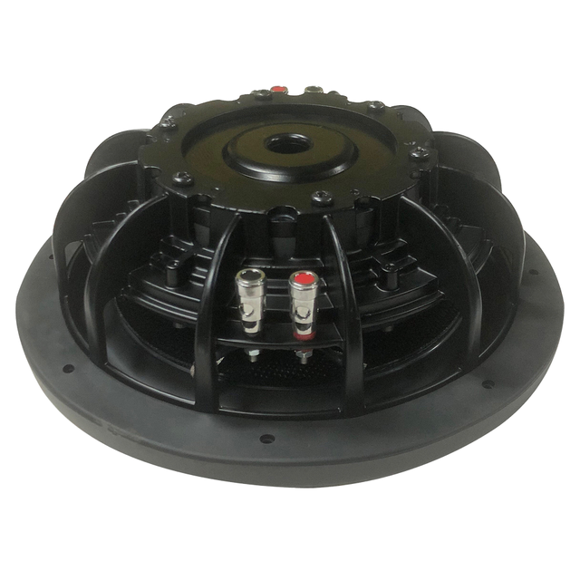 10 Inch Short Car Subwoofer Wholesales Big Power 300W RMS Speaker From Factory Slim Subwoofer Car Audio