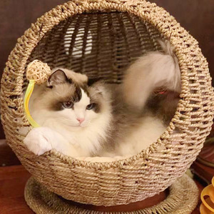 Seaweed Hand-Woven Round Pet Cat <b>House</b> Scratch Resistant Hammock Minimalist Style For Indoor Cats - Product Image 3