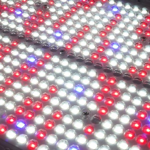 Nouvelle lampe de culture Toplight 800W à spectre complet, haute intensité PPFD, pour la croissance des plantes d'intérieur, des serres et des roses - Product Image 3