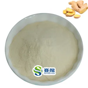 Polvo de jengibre fresco Grado alimenticio Extracto de raíz de jengibre a granel de alta calidad Gingerol 10%