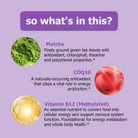 Gummies de thé vert matcha de haute qualité, complément alimentaire avec vitamines, favorise l'énergie cellulaire, stimule la santé et le métabolisme