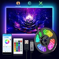 Bandes lumineuses LED alimentées par batterie 24 touches infrarouges télécommandées 5V 2835 5050 rétroéclairage intérieur TV Decora R + G + B lumières LED