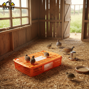 New AYTAV Quail Partridge Transport Cage & Coop PE Material 14-18 Quail/8-10 Partridge Capacity All Seasons Long Service Life - Product Image 3