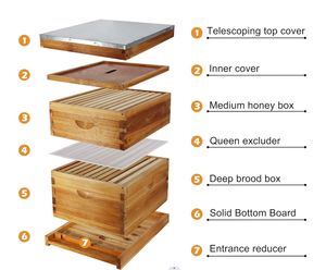 全新完整的10框蜂箱套件蜂蜡涂层框架基础板，适用于各级养蜂畜牧设备 - Product Image 5