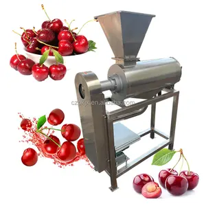 Mango Pulper hamuru dayak meyve reçel yapıştır domates sosu suyu yapma makinesi sebze pulper pulping meyve dayak makinesi