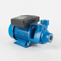 Pompe à eau de surface électrique à moteur CC basse pression ELESTAR PM-45 1HP 110-380V IP44/IP54