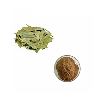 Sennasides (<span class=keywords><strong>Sennoside</strong></span> A + B) 2.5%-20% <span class=keywords><strong>Senna</strong></span>リーフエキスパウダー自然に - Product Image 1
