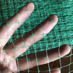 Filet anti-<span class=keywords><strong>oiseaux</strong></span> pour jardin en PP extrudé, maille 15x15mm, stabilisé aux UV, <span class=keywords><strong>protection</strong></span> des plantes pour fraises et bleuets - Product Image 1