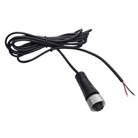 Conector de Sensor M12 Personalizado OEM ODM, 2 Pines, Código A, Hembra, Recto, Cable de Aviación, Arnés de Extensión, Electrónico, 300V, PVC