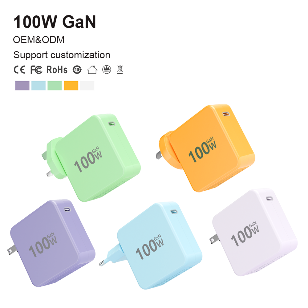 100W - Colors & Plug Customiztion
