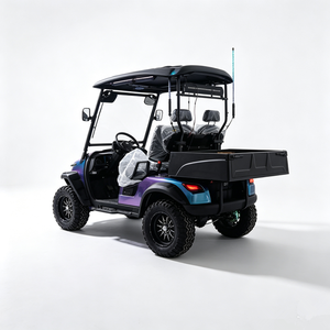 Carrito de Golf Eléctrico de Dos Plazas con Caja de Carga Trasera y Degradado Arcoíris - Product Image 2