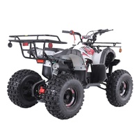 Quad ATV Tao Motor 110cc 125cc 150cc pour la vente