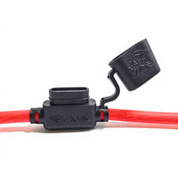Cubierta Personalizada para Portafusibles en Línea con Arnés de Cables 8AWG, Conductor de Cobre Puro, PVC 300-1000MM, IP65, para Automóviles, Máquinas, Uso Marino y Exterior
