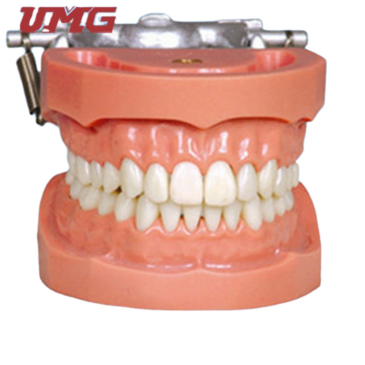 Зубная модель зубного импланта, тренировочная модель, пластиковая зубная модель зубов